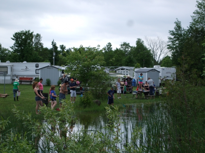 Pond Fishing